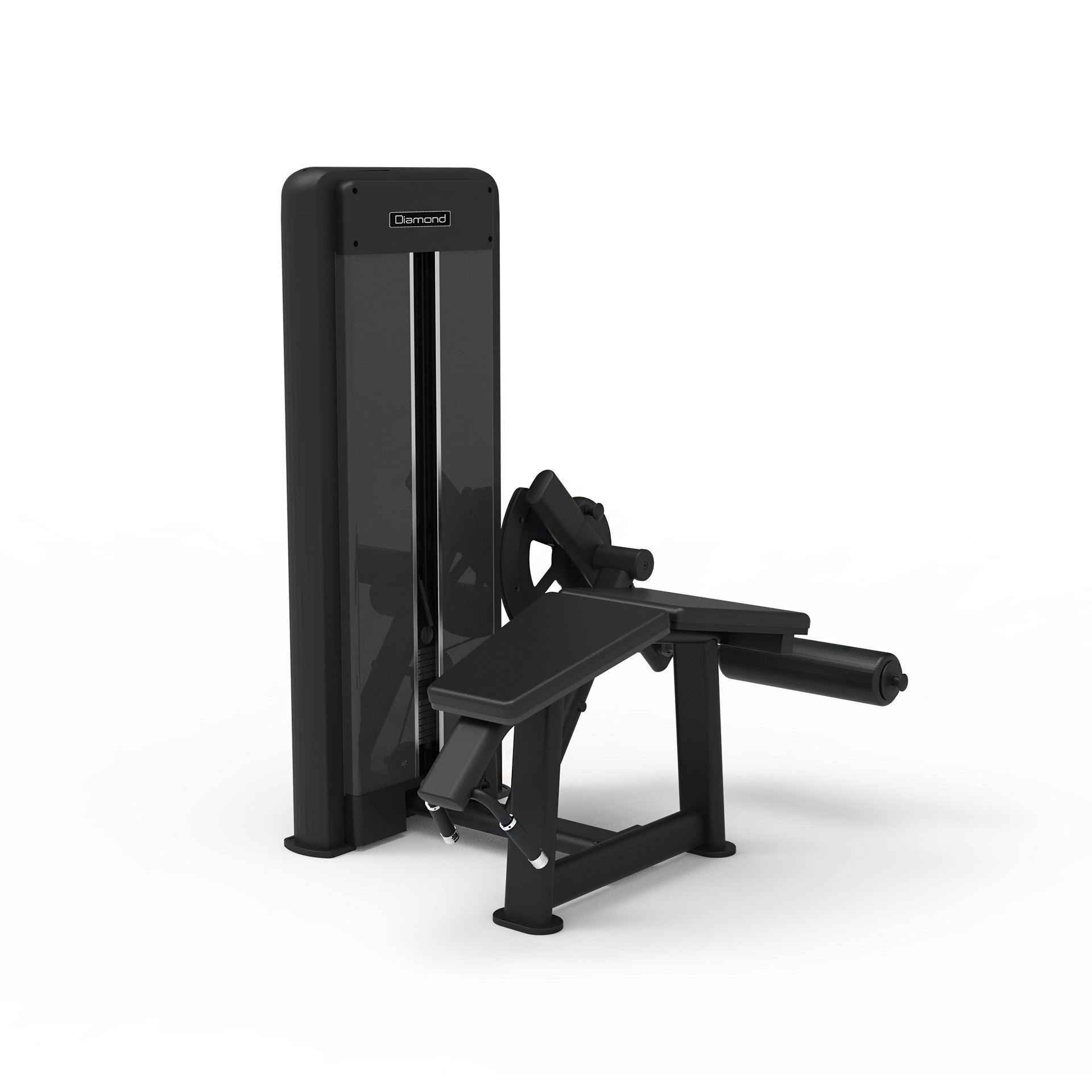 S550 LEG CURL - WS550-LEGCURL