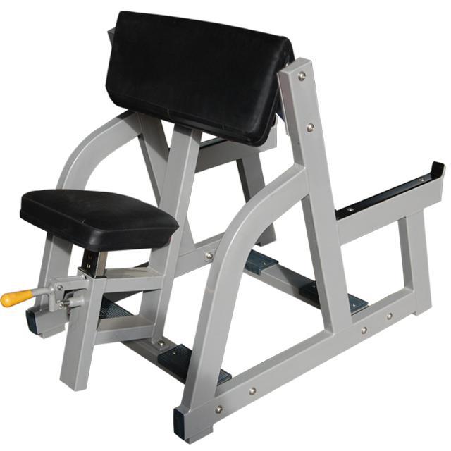 Seated arm curl bench FW 2004 