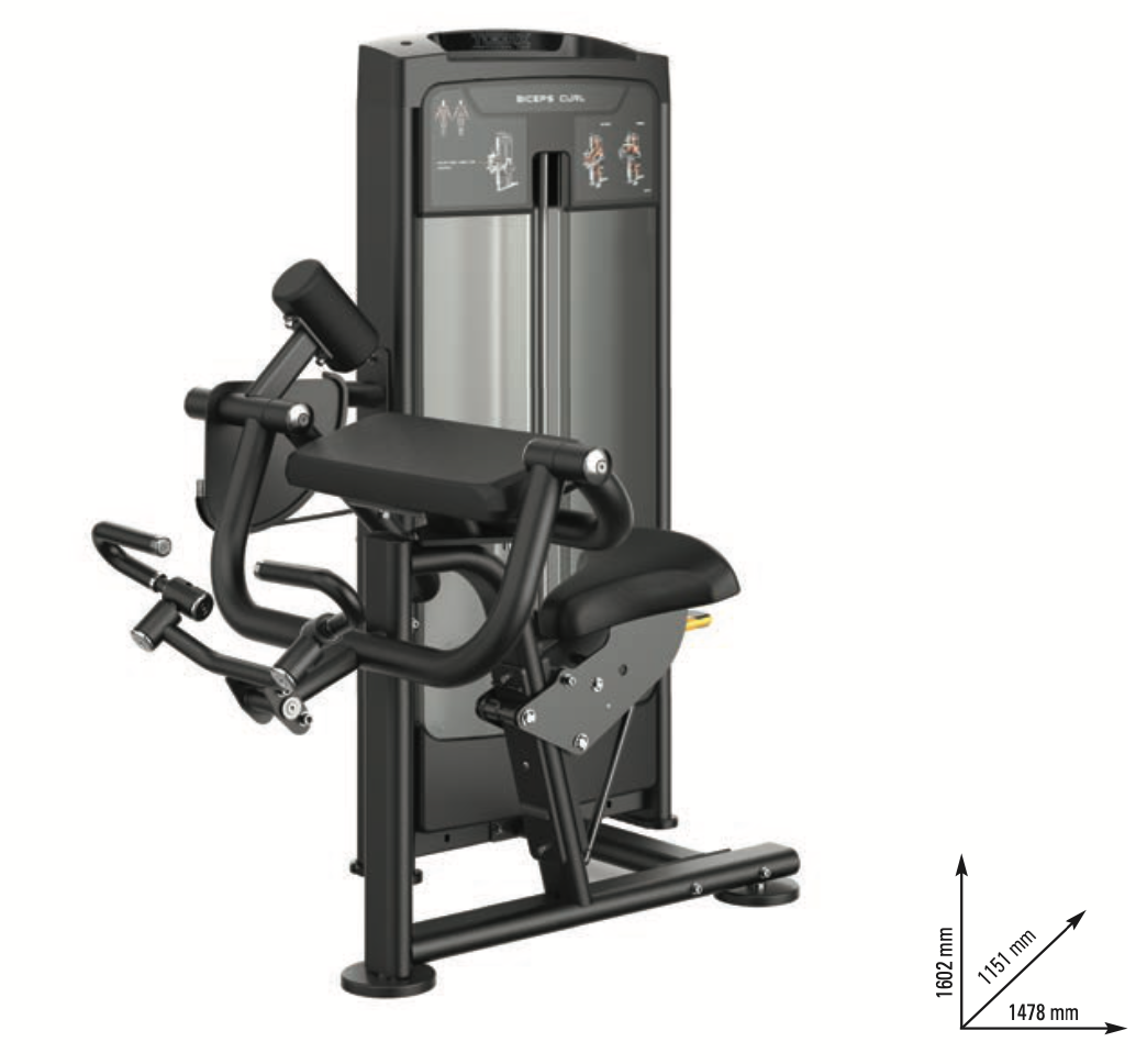 Biceps curl - PLX-8600