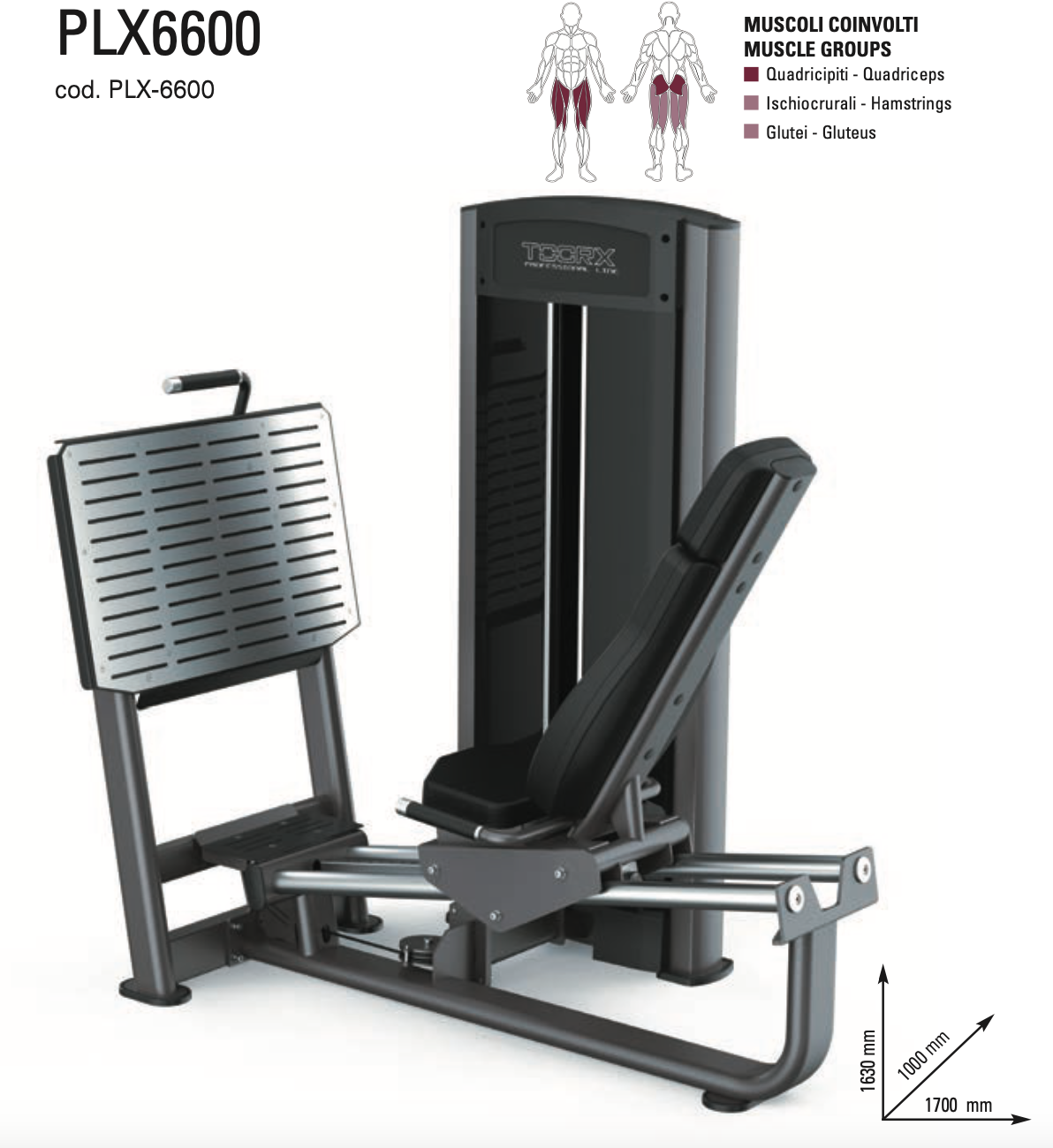 Horizontal leg press - PLX-6600