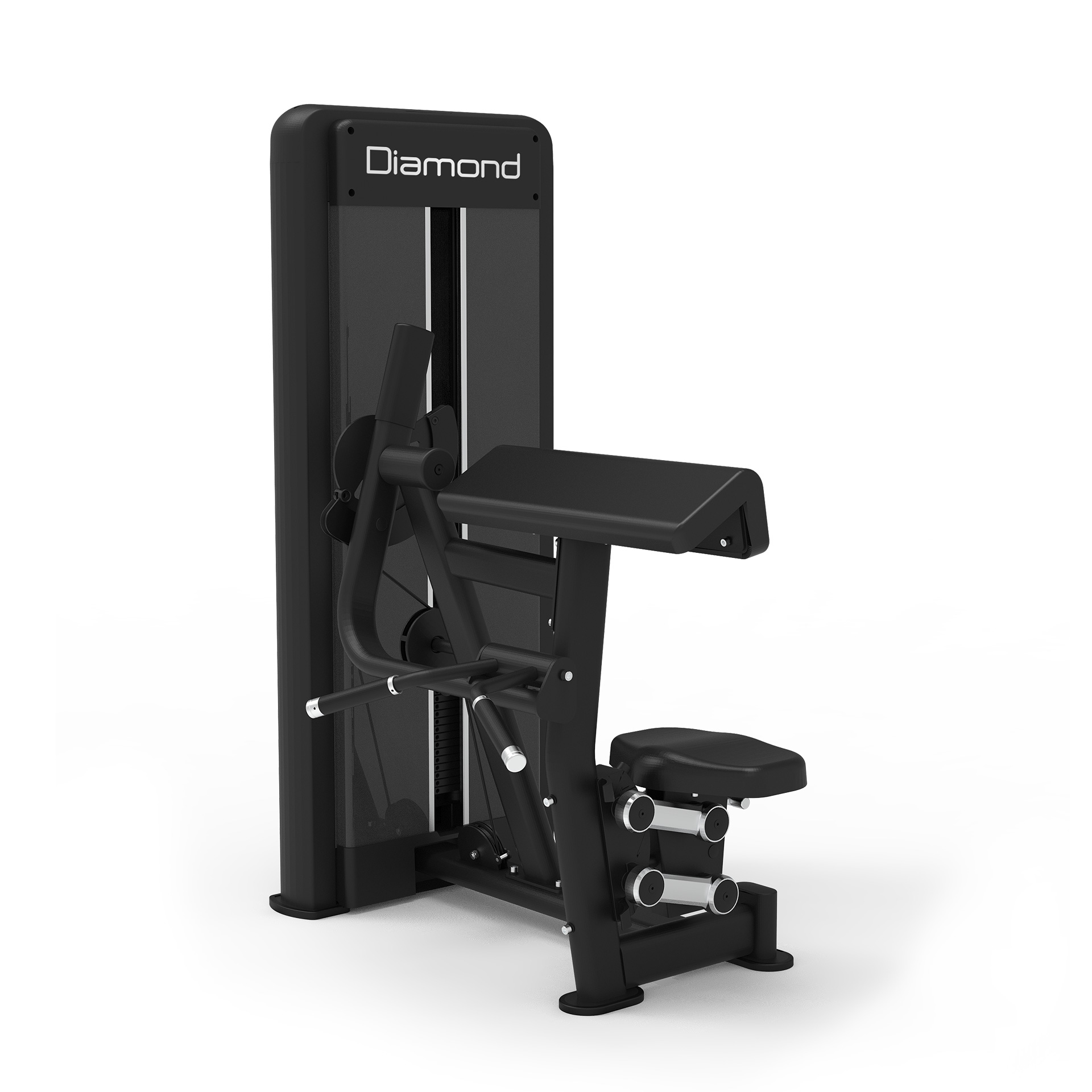 S550 BICEPS CURL - WS550-BICEPS