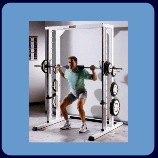 Multipower Technogym Isotonic Lux Line white or silver Refurbished -  Wellness Point